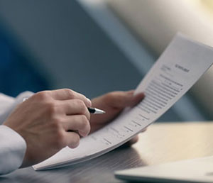 Services 3 EU Blue Card Visa App as an Online Document Service 1